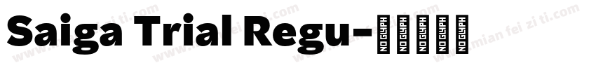 Saiga Trial Regu字体转换